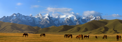 KYRGYZSTAN.png